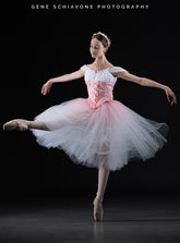 Ombre Dyed Romantic Tutu - Made to Order